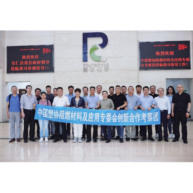 中塑协阻燃材料及应用专委会考察团一行莅临usdt网投平台化学考察调研